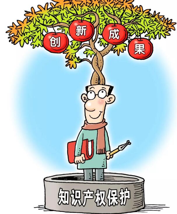 知識產(chǎn)權(quán)保護(hù).jpg